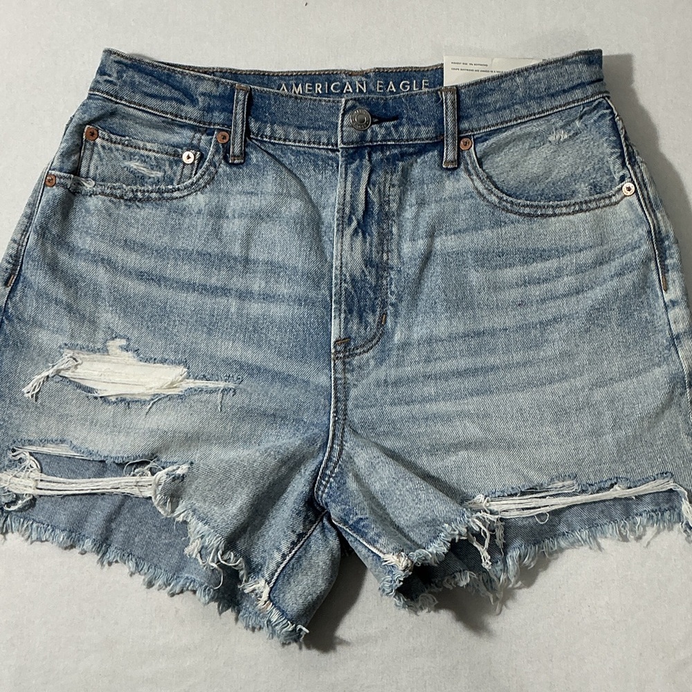 American Eagle Outfitters Light Wash Distressed Denim Shorts